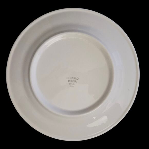 Buffalo China Green Band 9" Restaurant Ware Plates Set of 2 – Heavy Duty USA - Picture 3 of 5